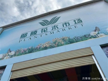 鄢陵县花木产业未必能想到的那些问题