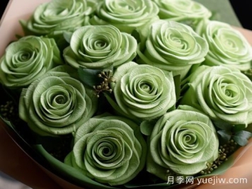 苏格兰复古绿玫瑰，绿色魅力的神秘诠释