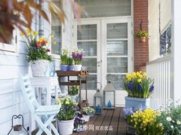 上海发布《窗阳台绿化推荐植物名录》，月季花在列，好不好养来看看