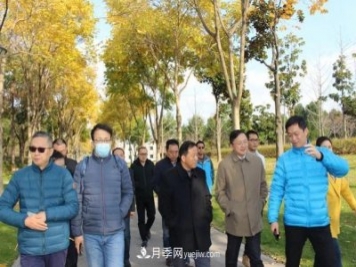 提升城市园林绿化，苏州向上海学什么？